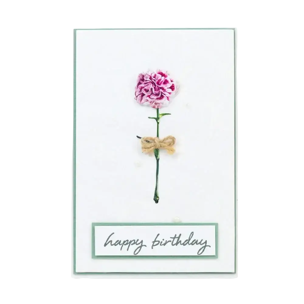 Valentine metal cutting die featuring a delicate pink and white carnation with green stem tied in rustic twine bow