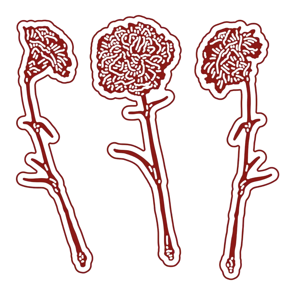 Valentine metal cutting die featuring three stylized red carnation illustrations with intricate petal patterns for diy cards