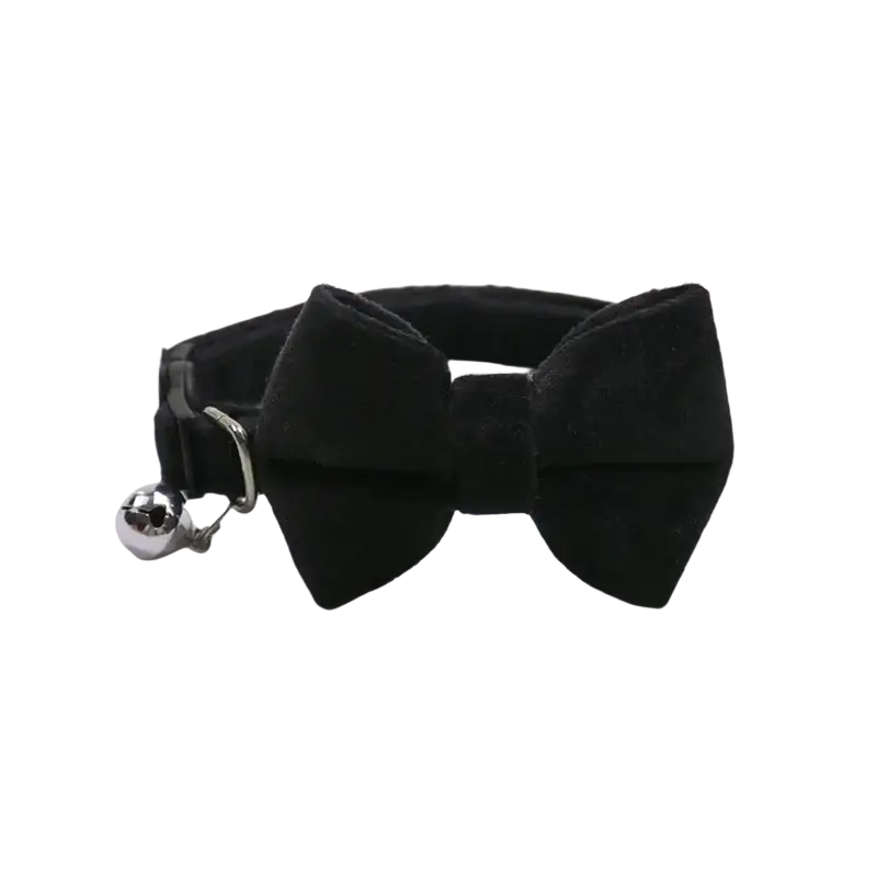 Black velvet bow cat collar with silver bell showcasing luxurious material and elegant design for stylish pets