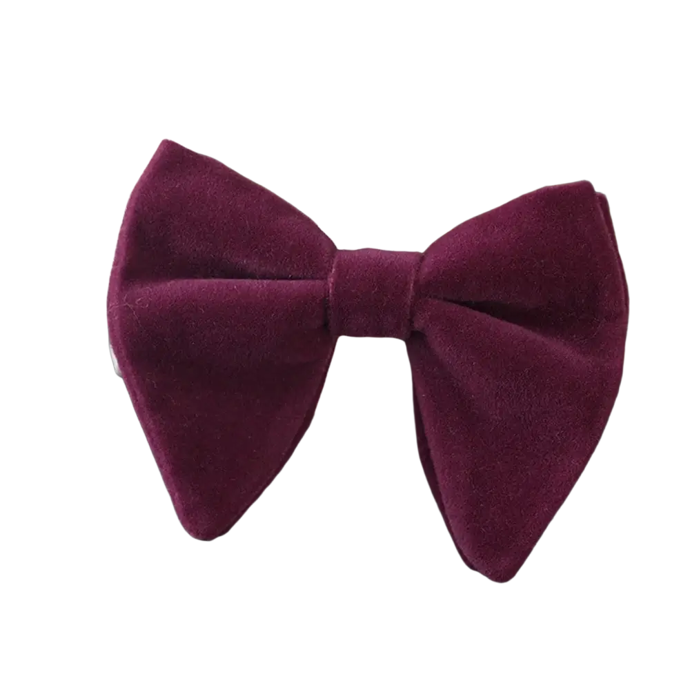 A plush burgundy velvet bow tie with a classic symmetrical design for formal neckwear gift