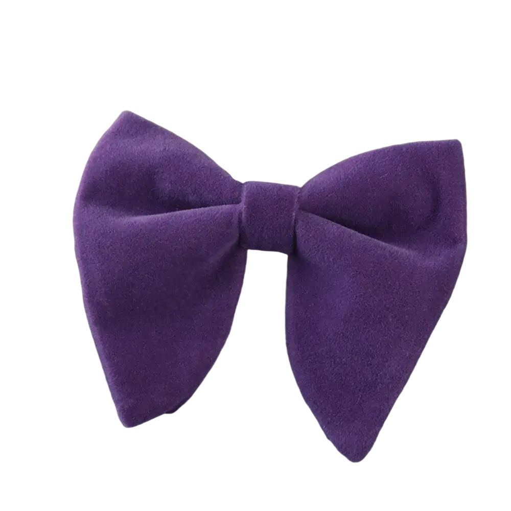 A plush purple velvet bow tie with a soft textured surface and symmetrical design for formal neckwear gift