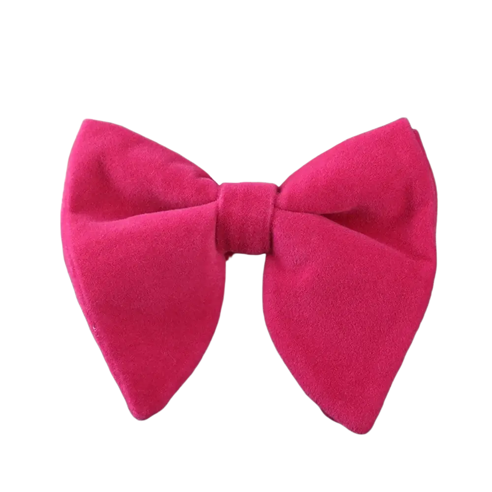 A vibrant fuchsia velvet bow tie with a soft plush texture and classic symmetrical design for formal neckwear