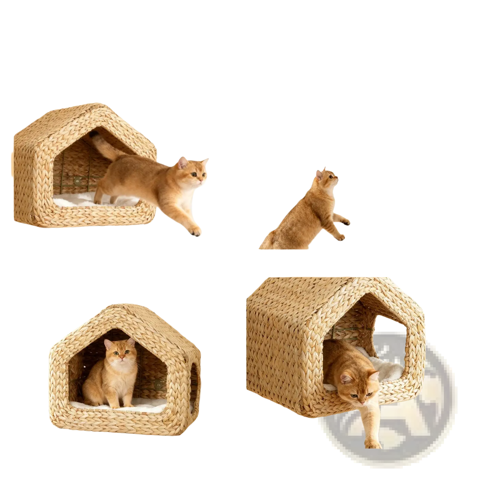 Beige woven wicker wall mounted cat house with small entrance and cozy cushioned interior for pet comfort