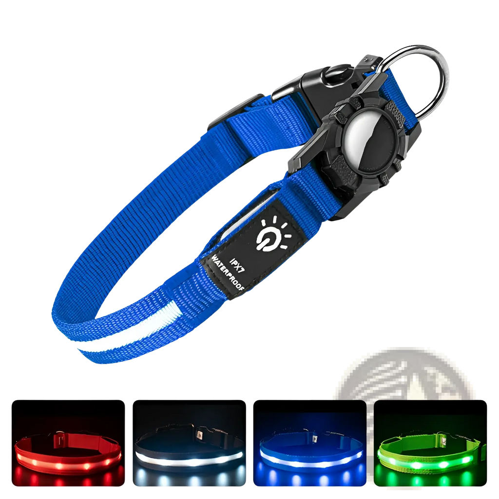 Blue led nylon dog collar with reflective strip black buckle and waterproof design for airtag tracking