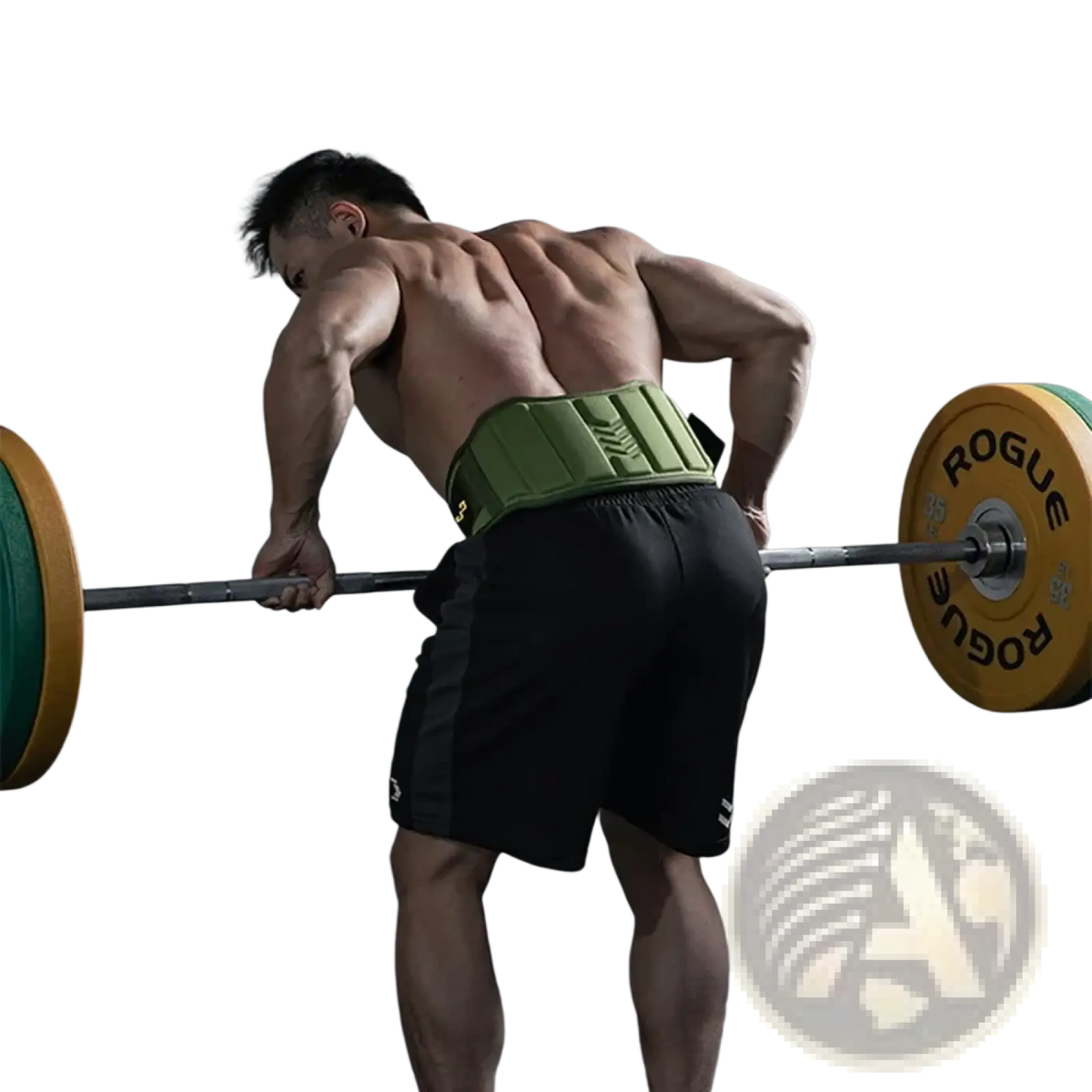Green padded weightlifting belt in olive green showing back support for effective weightlifting and posture stability