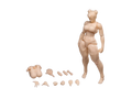 The whale works 1/12 articulated female body model is a white plastic figure with detailed sculpted anatomy