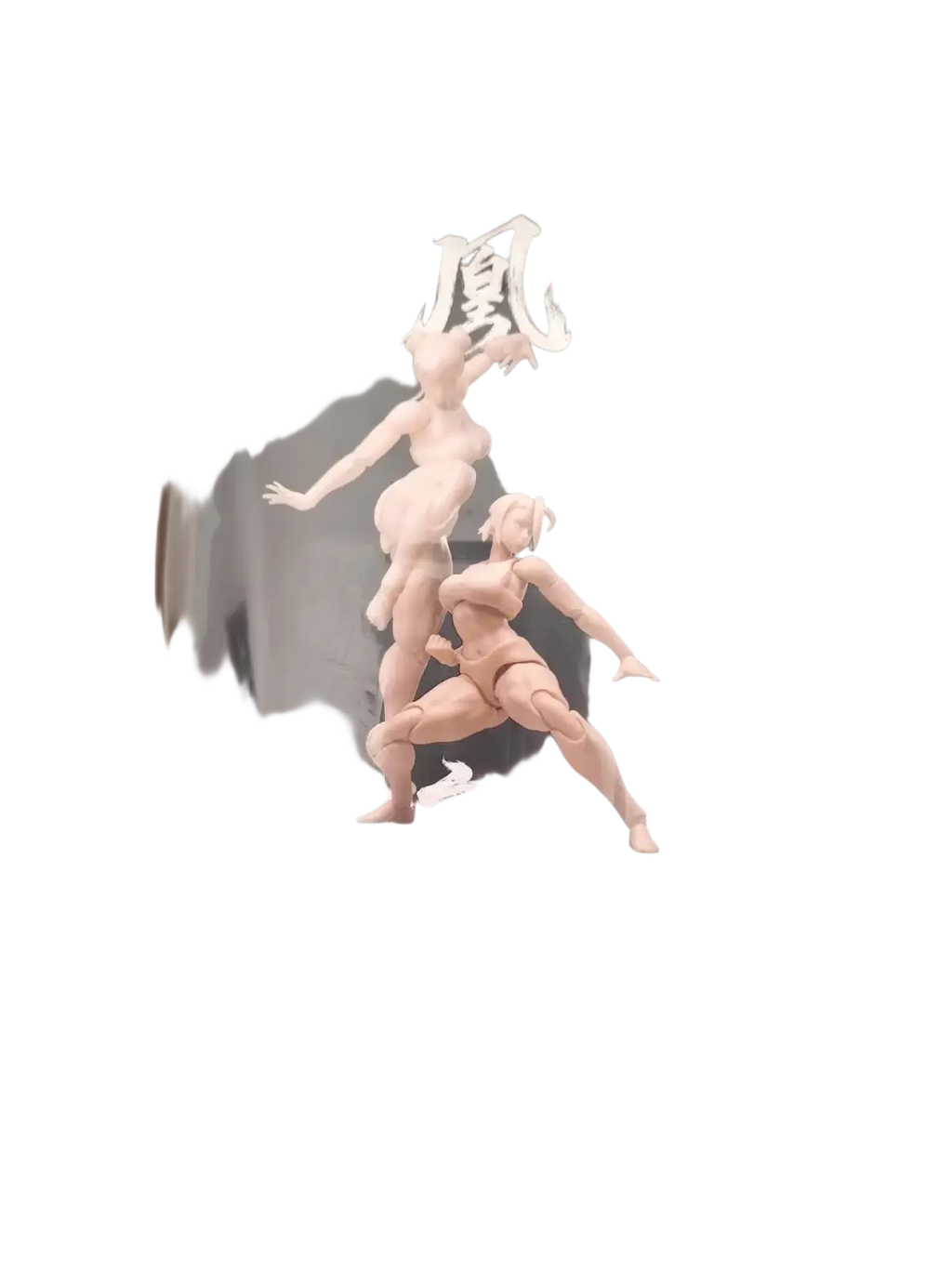 Packaging of whale works 1/12 scale articulated female body model featuring two nude dynamic figures and chinese text