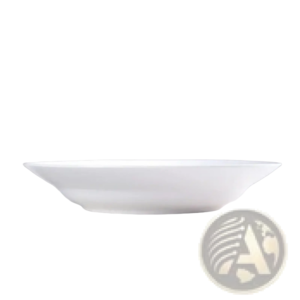 White ceramic dinner plate set of 6 with a smooth glossy finish and slightly flared rim measuring 9.5 inches