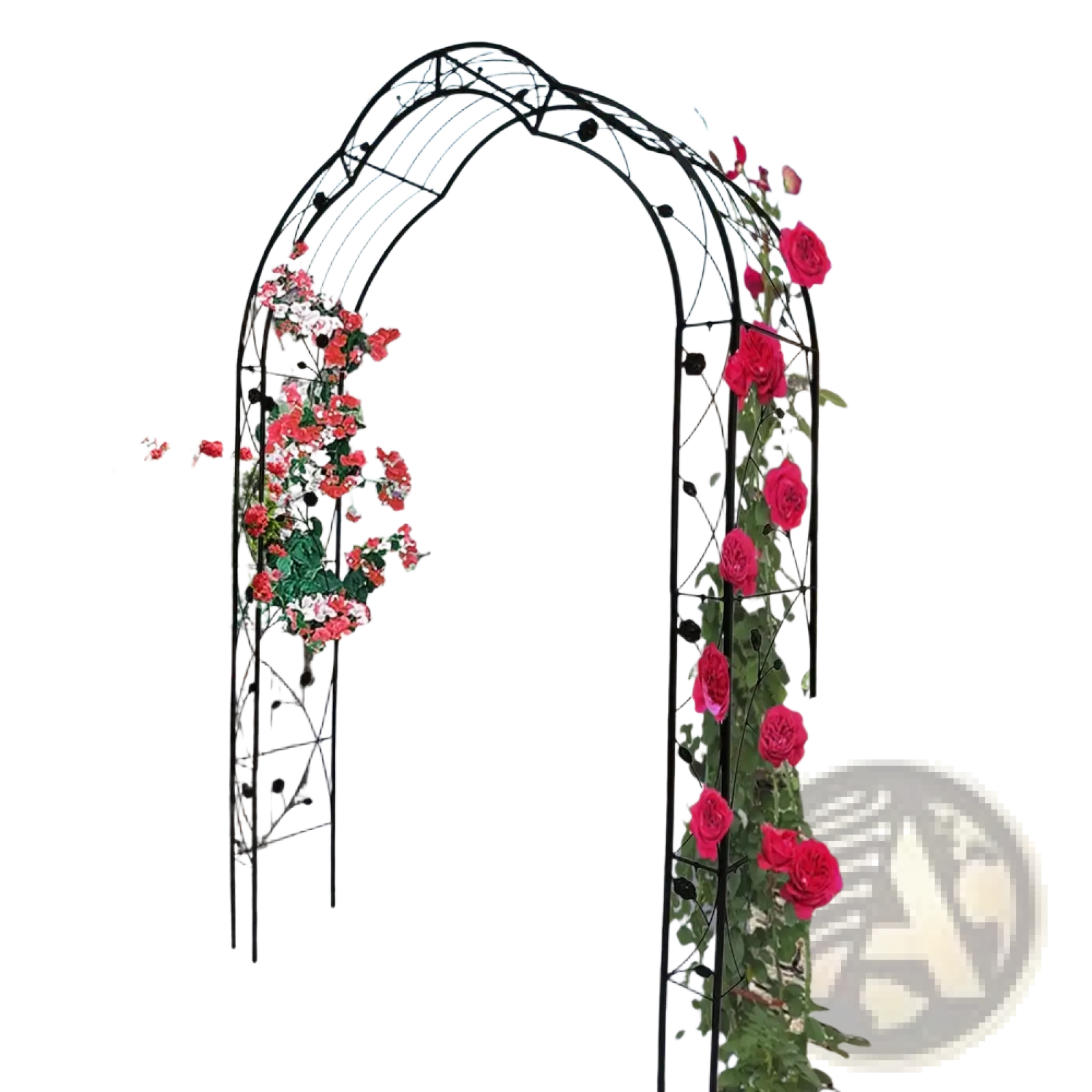 Black wrought iron garden arch adorned with climbing roses for supporting plants and enhancing garden decor