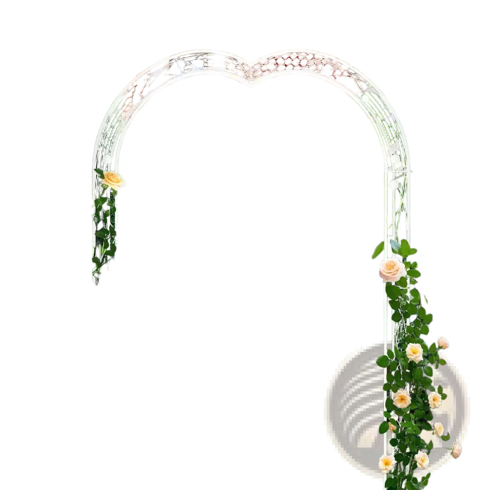 White metal garden arch with climbing yellow roses designed for supporting roses and plants in a garden setting