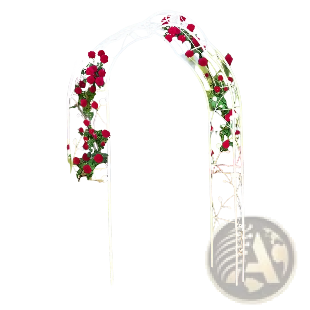 White metal garden arch for climbing roses and plants adorned with red roses and green foliage