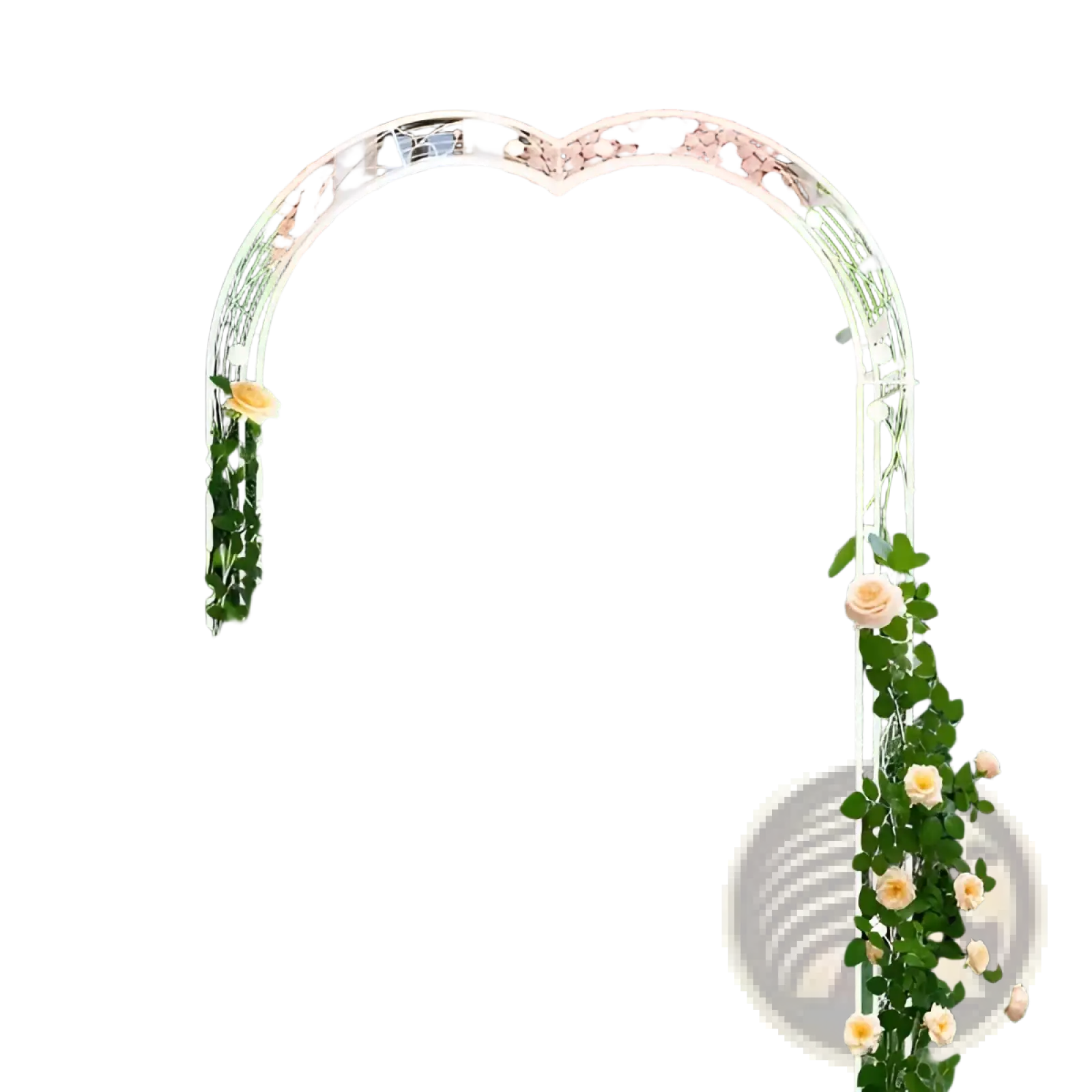 White metal garden arch with climbing yellow roses designed for supporting climbing roses and plants outdoors