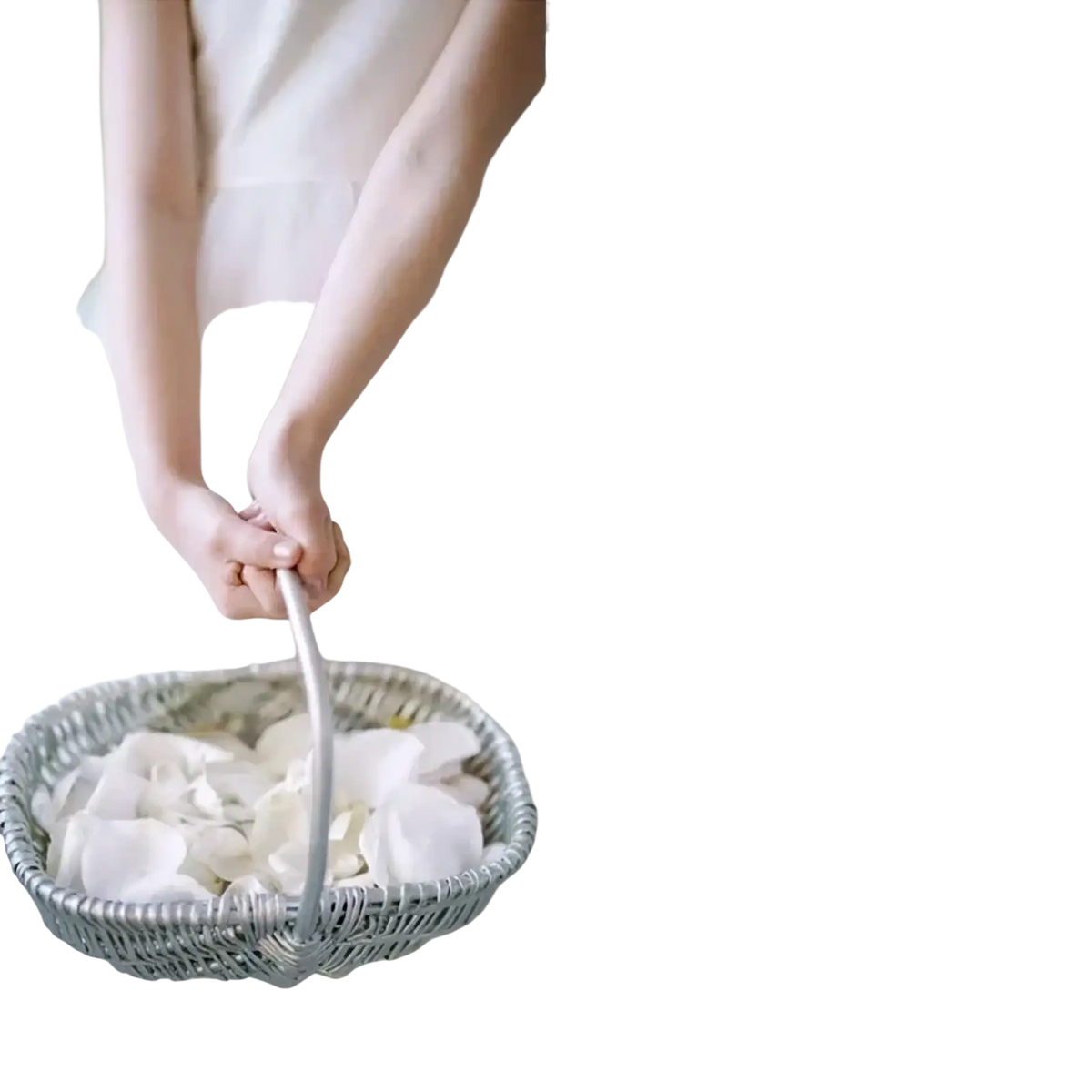Silver woven basket filled with white silk rose petals for weddings and parties elegant decorative use