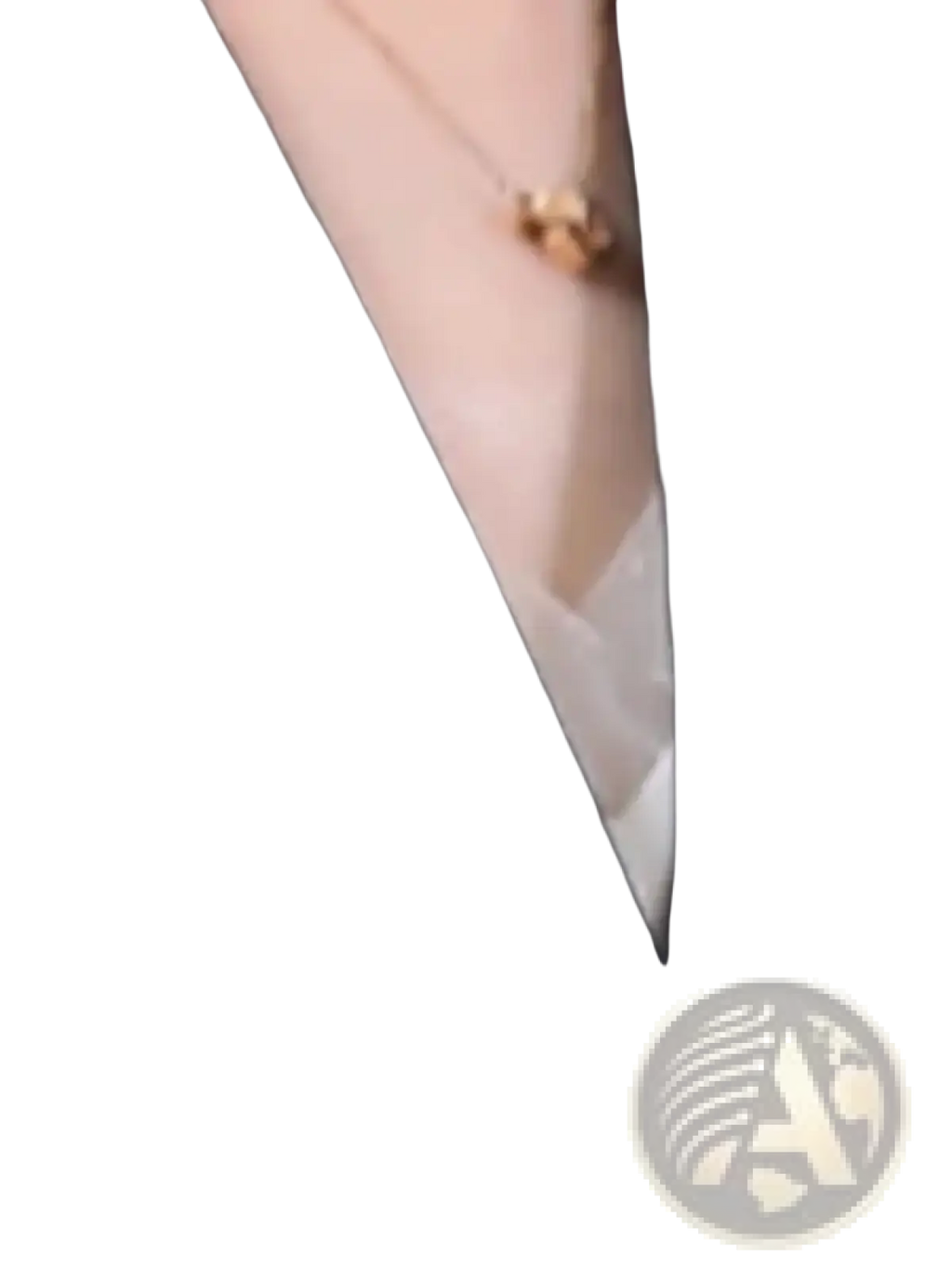 Gold-toned necklace with a small round pendant worn with a black sleeveless vest featuring wing embroidery