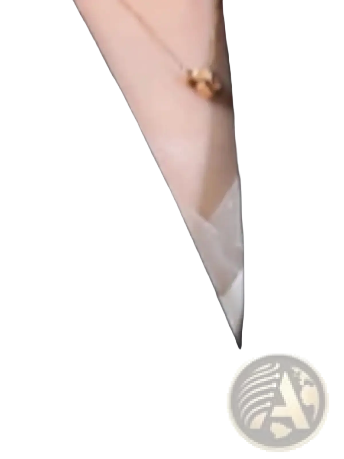 Gold-toned necklace with a small round pendant worn with a black sleeveless vest featuring wing embroidery