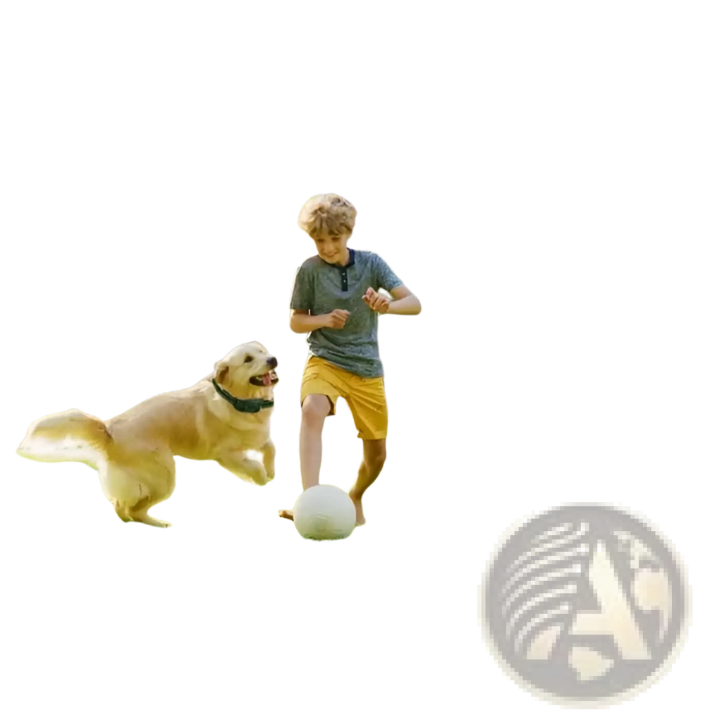 Black wireless outdoor security camera with antenna and digital display for wireless dog containment system training collar