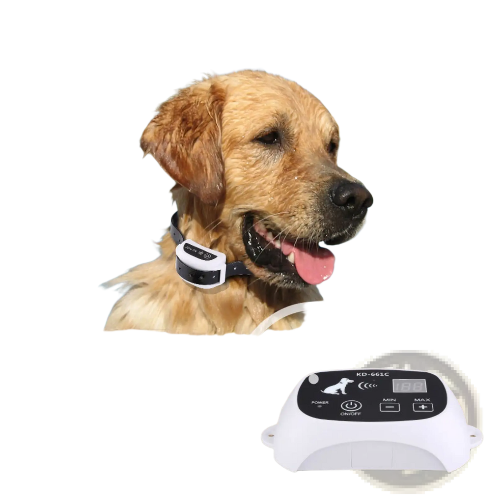 White plastic wireless dog fence remote control with digital display and labeled buttons for dog training collar