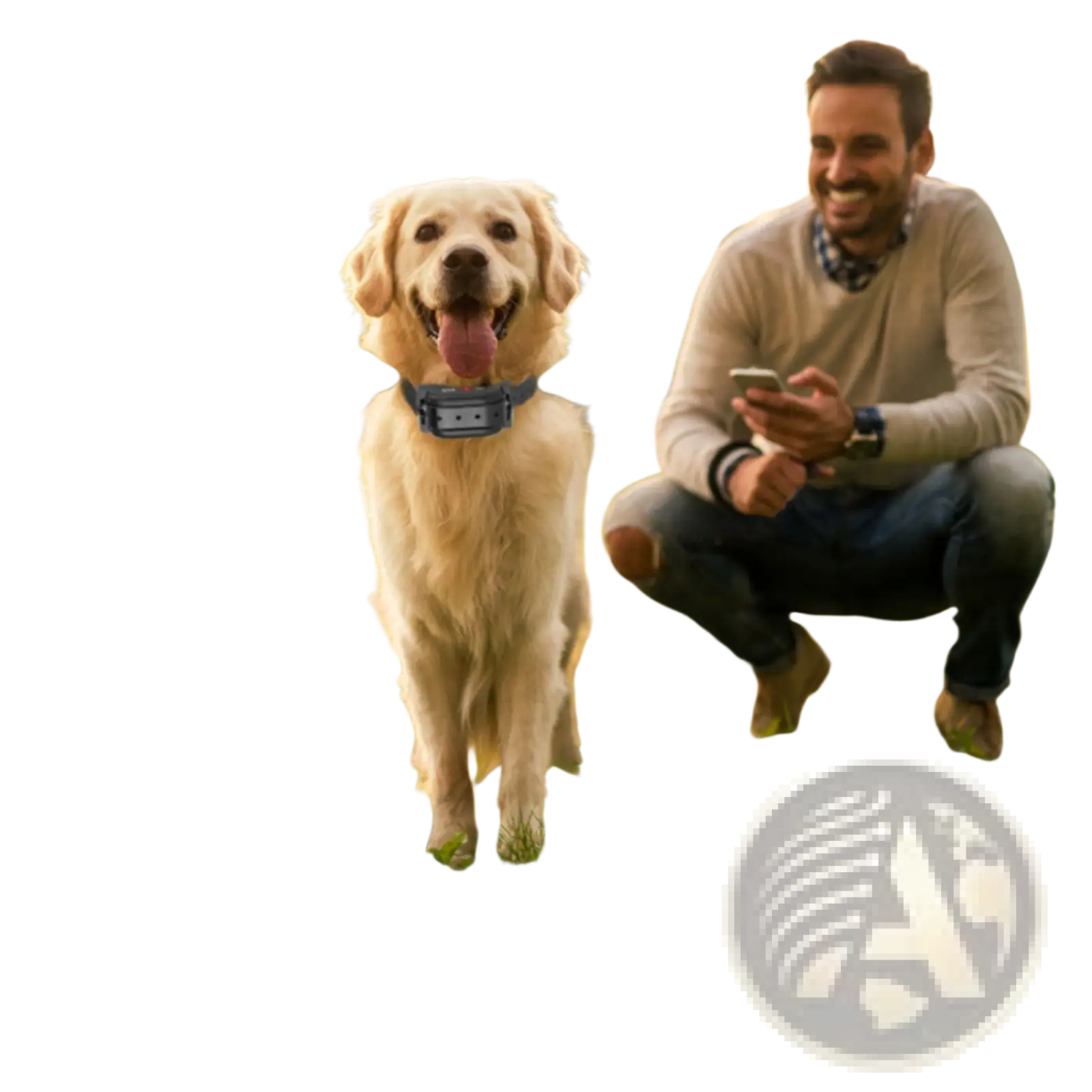 Blue wireless dog fence system collar with gps location monitor and rectangular electronic device attached