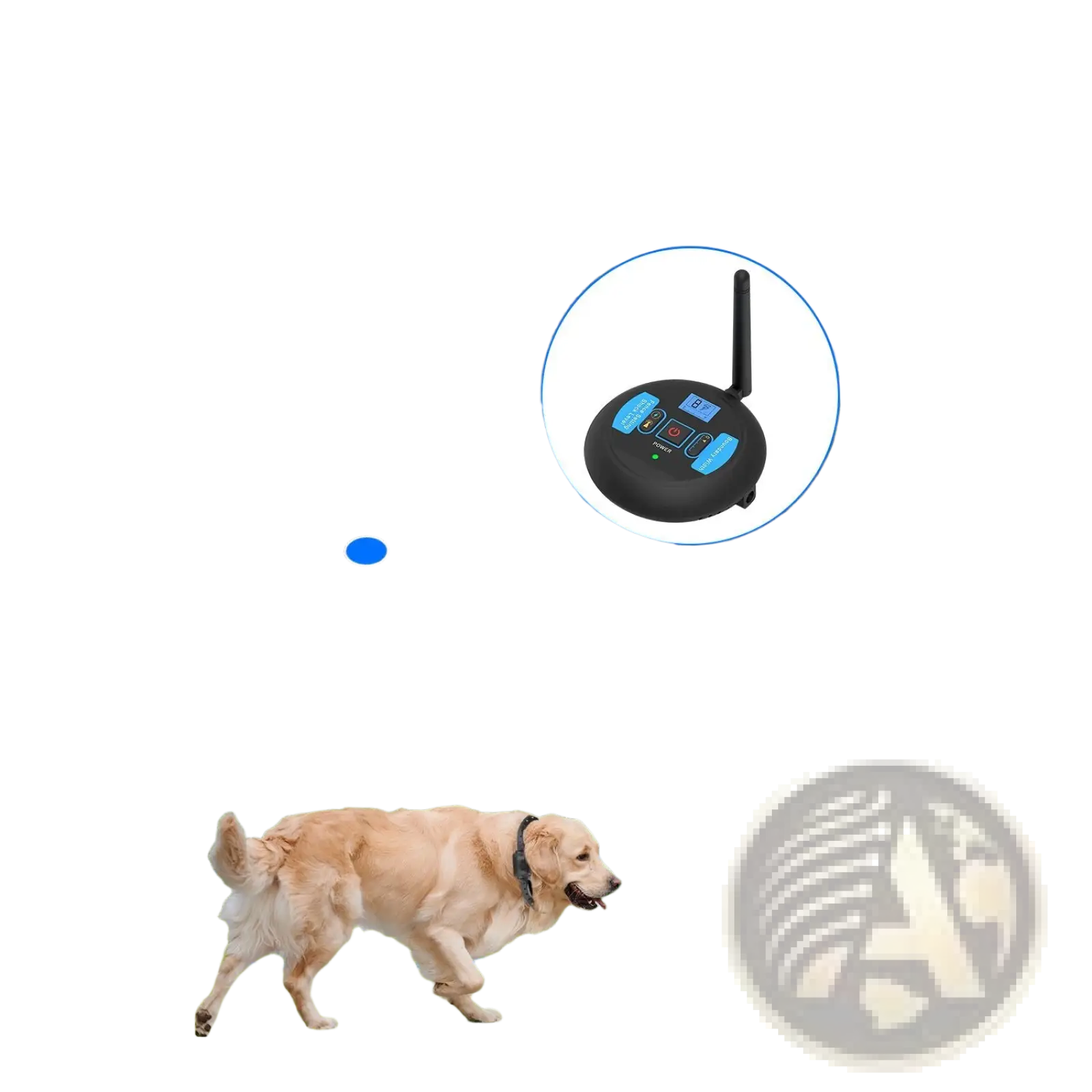 Black wireless dog trainer transmitter with blue buttons and single antenna for waterproof training collar system