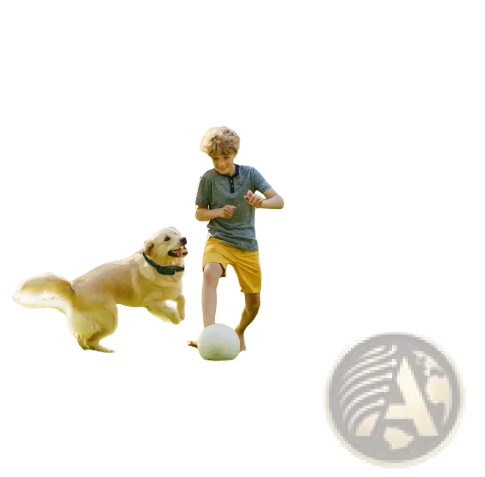 Black wireless security camera with antenna and digital display for wireless dog fence and training collar system ipx6