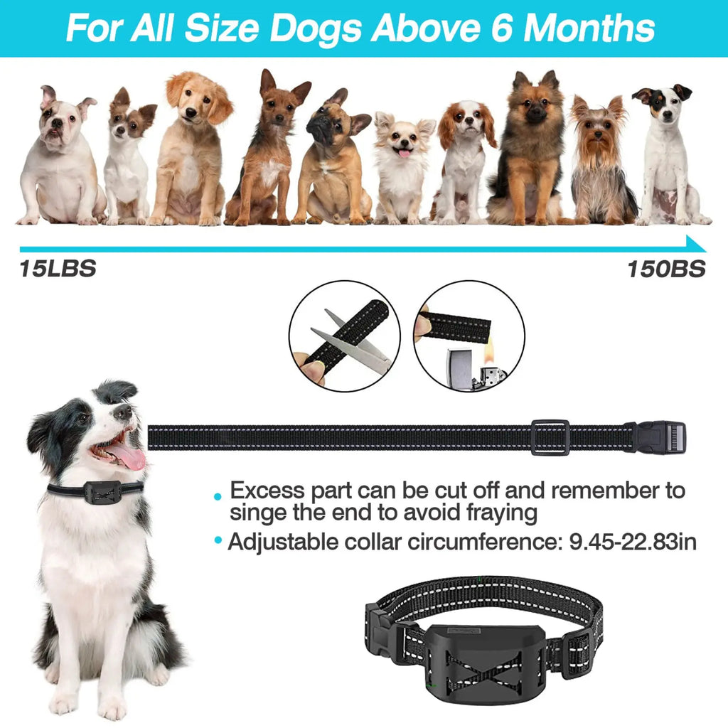 Black adjustable dog collar with built-in electronic training module and reflective stitching for wireless training fence