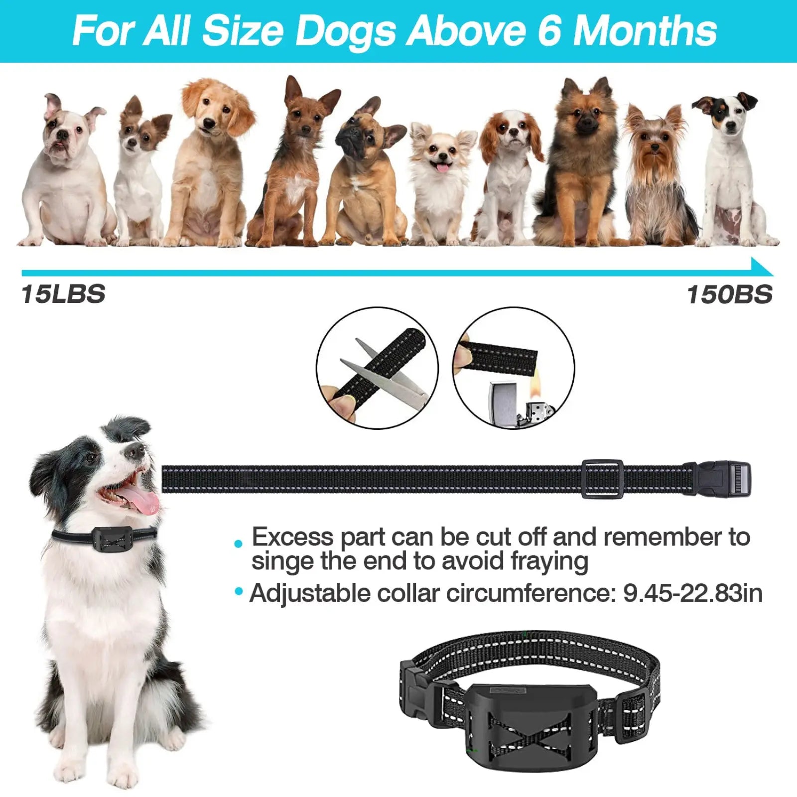Black adjustable dog collar with built-in electronic training module and reflective stitching for wireless training fence