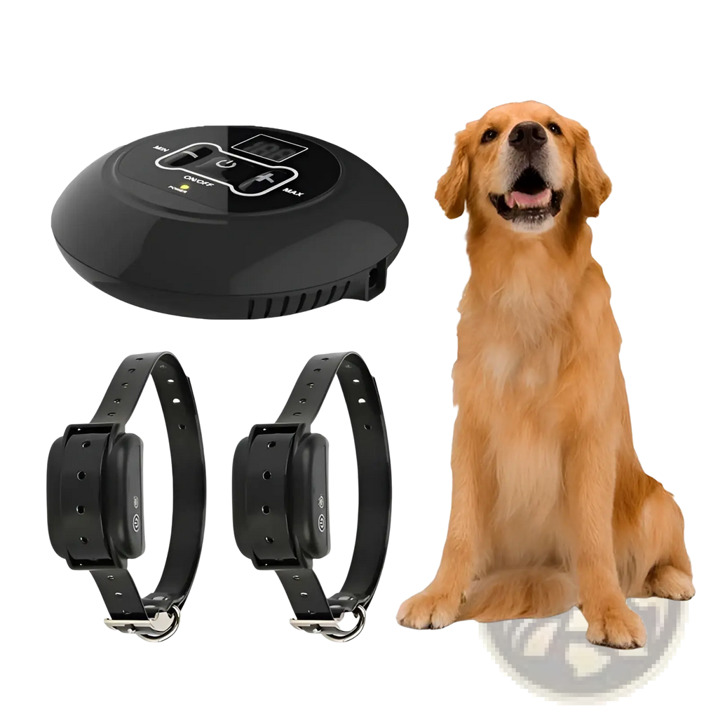 Black wireless pet fence electric waterproof training collar system with two collars and remote control