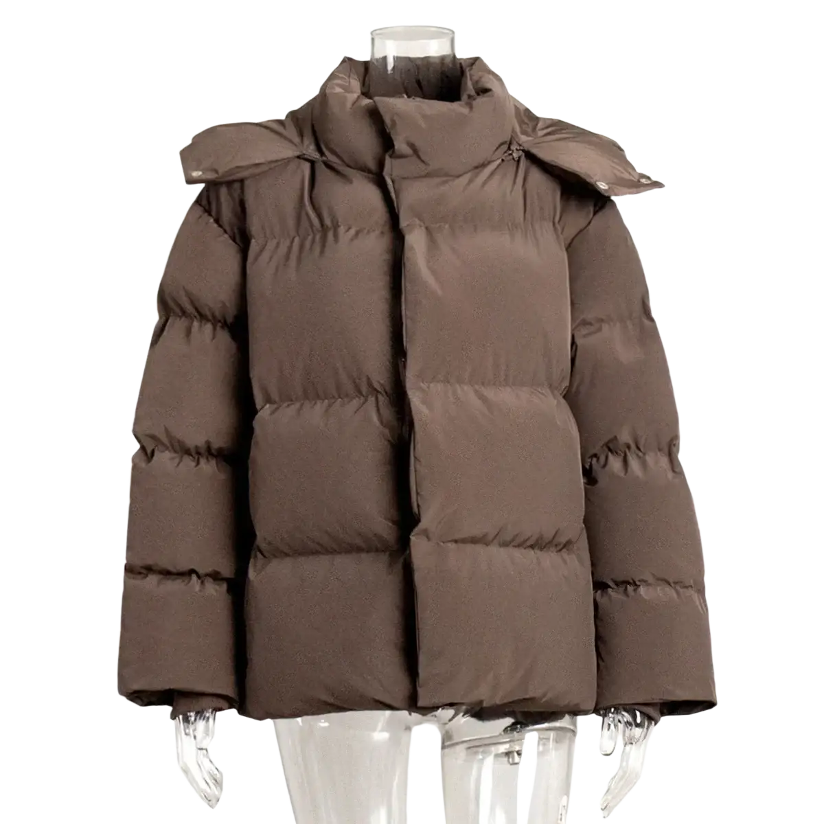 Brown women cotton padded hooded winter puffer coat with quilted design and attached hood shown from the back side