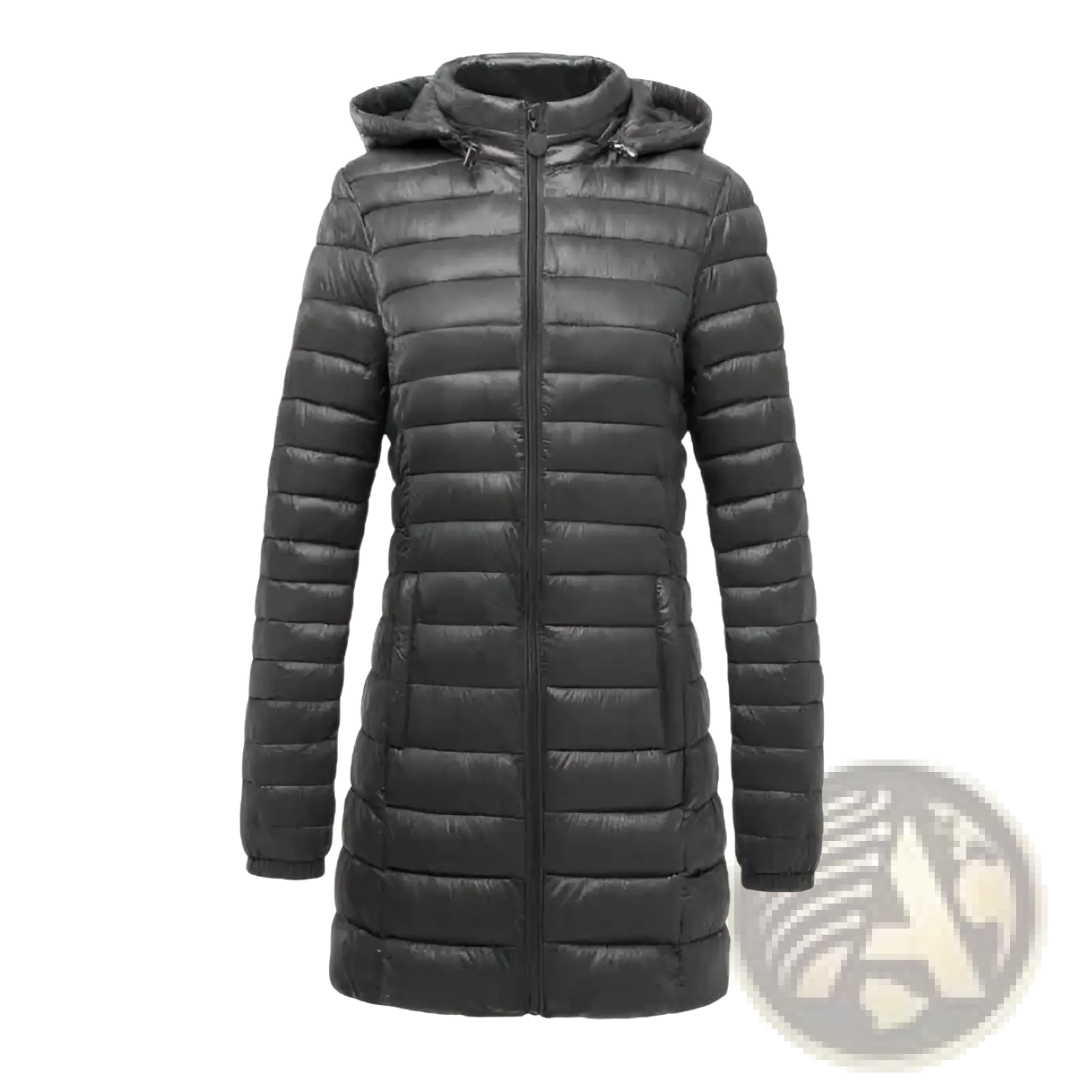 Black quilted slim fit puffer jacket with hood and cotton filling for women featuring a sleek modern design