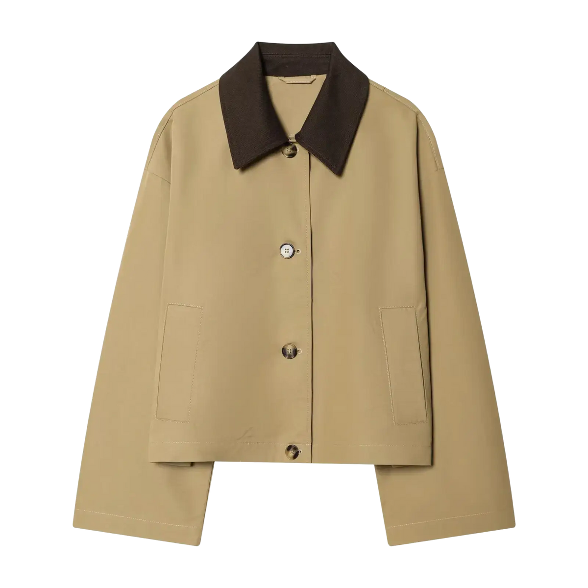 Beige women short trench coat with contrasting dark brown collar and silver toned buttons for stylish outerwear