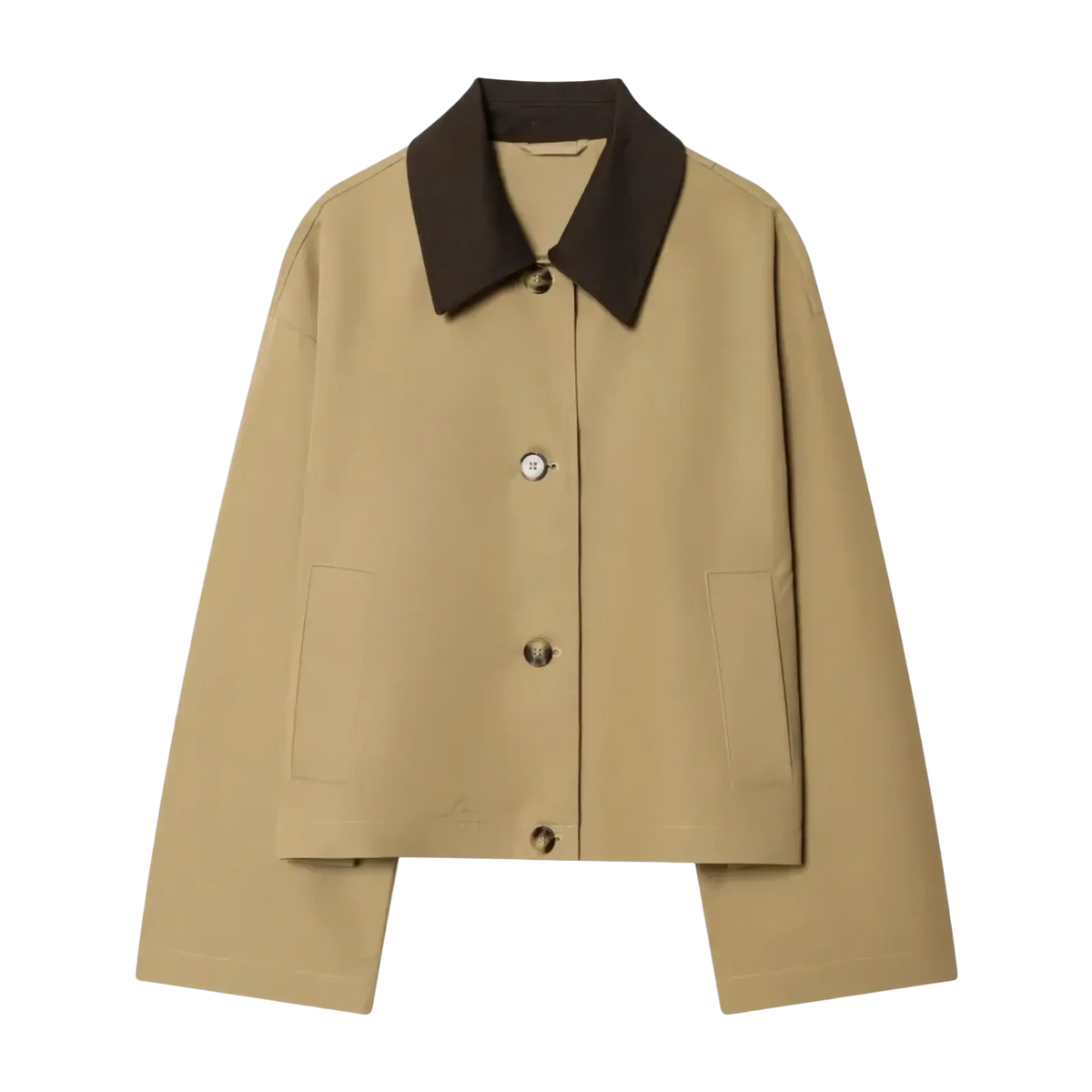 Women short trench coat in beige with a contrasting dark brown collar and silver toned buttons