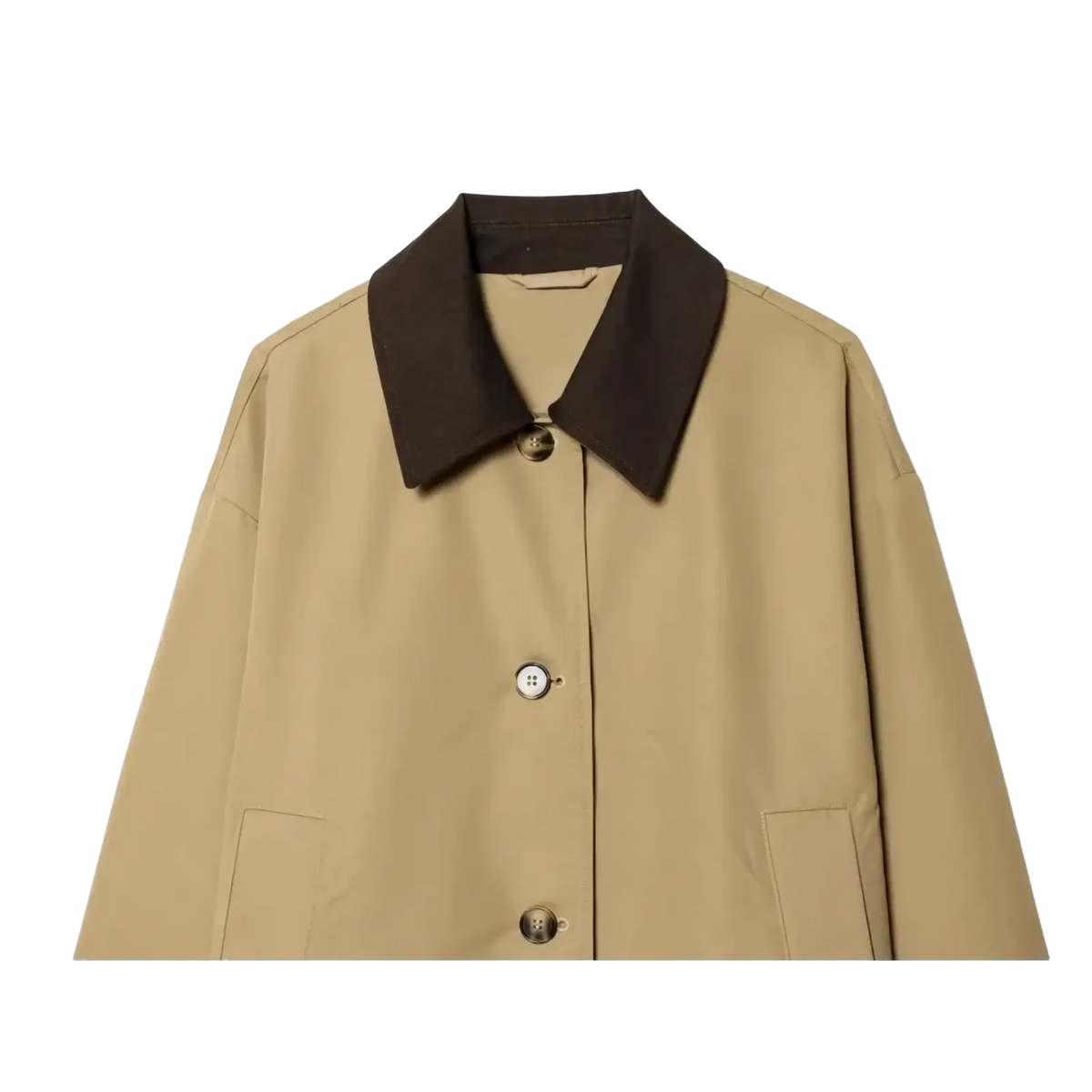 Beige women short trench coat with contrasting dark brown collar and silver toned buttons for stylish outerwear