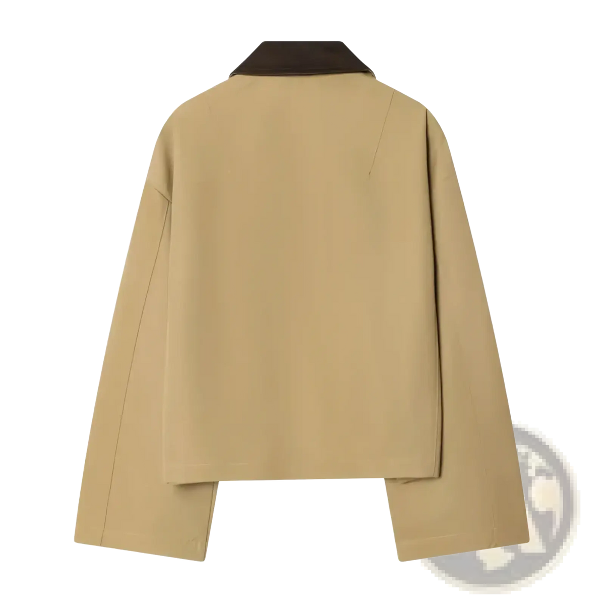 Beige cropped trench coat for women with a contrasting dark brown collar ideal for stylish outerwear