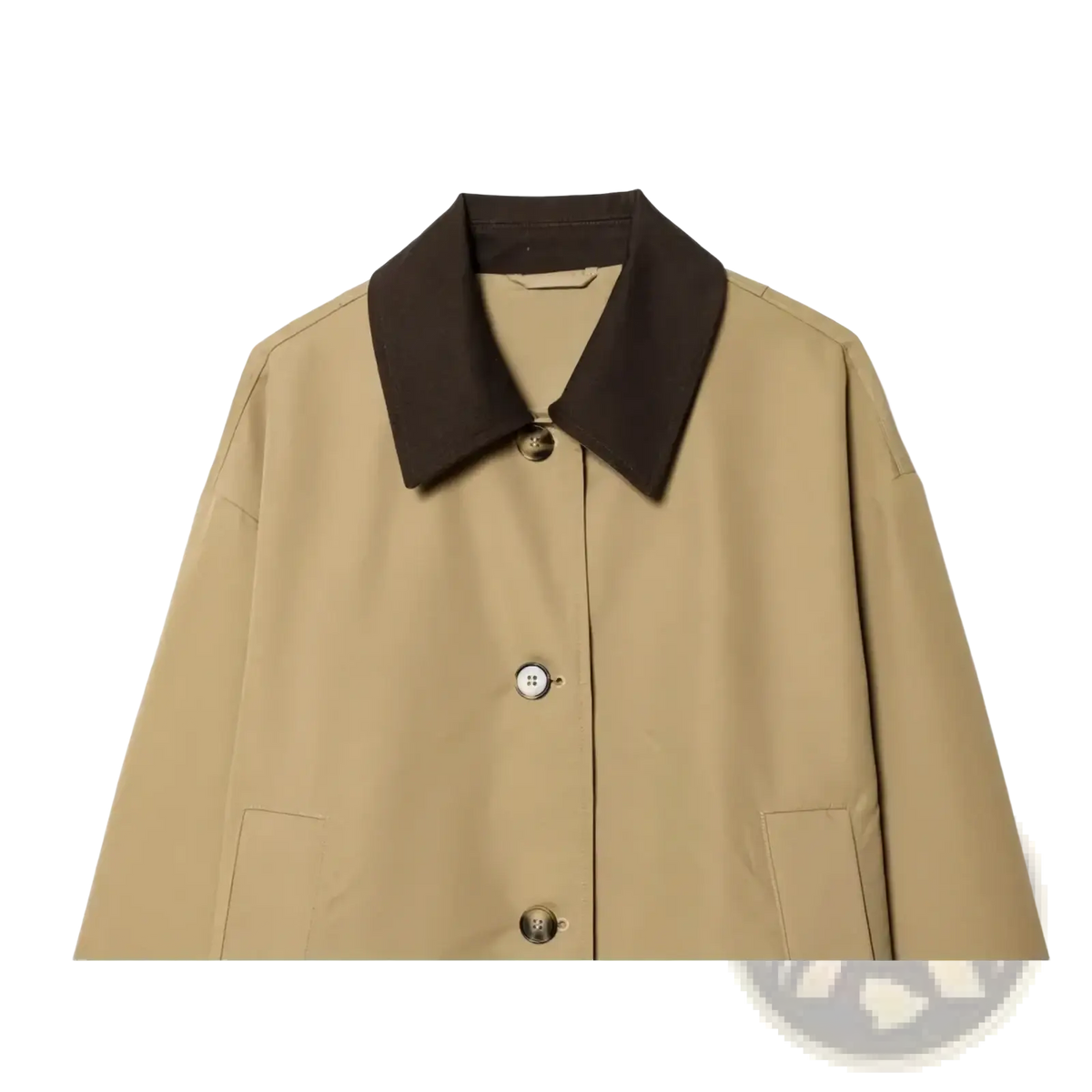 Beige women short trench coat with contrasting dark brown collar and silver toned buttons for stylish outerwear