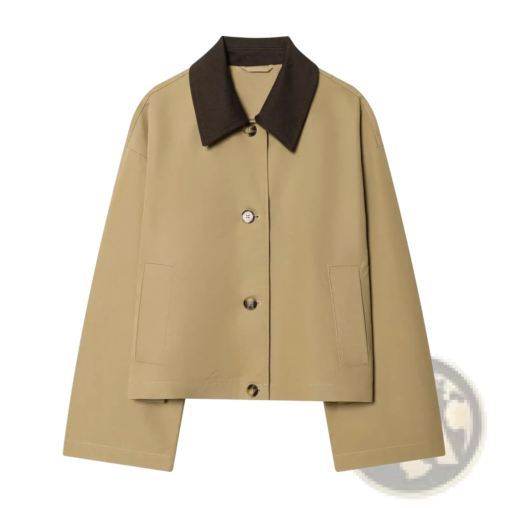 Beige women short trench coat with contrasting dark brown collar and silver toned buttons for stylish outerwear