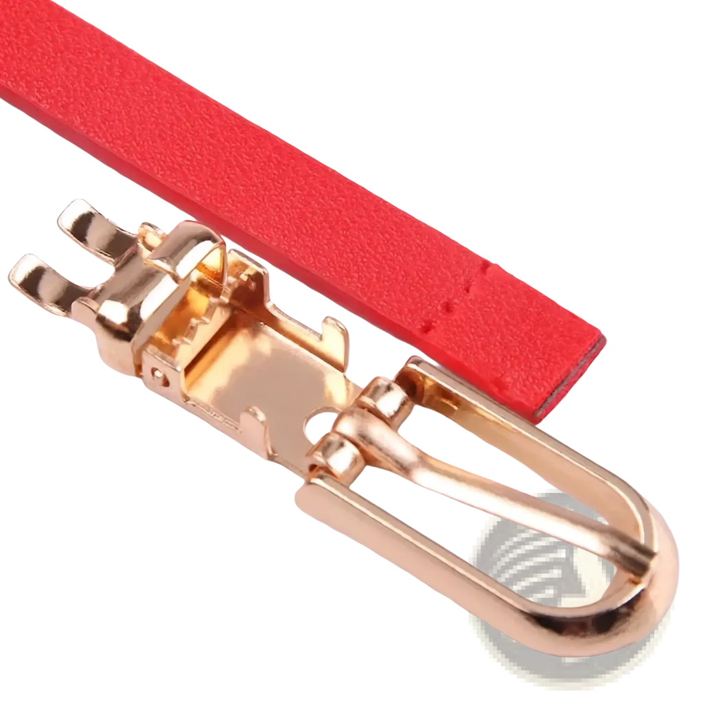 Red leather thin pu leather belt with a gold-toned d-ring buckle strap for women