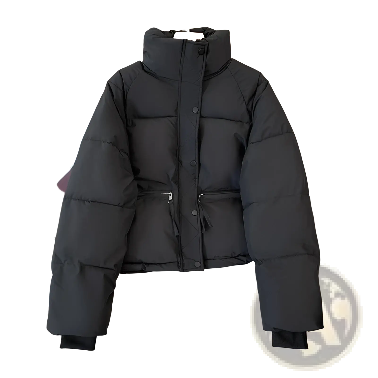 Women winter padded cotton outerwear jacket in black with high collar, front button closure, and side pockets