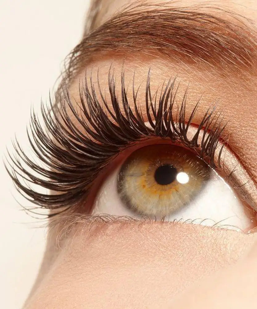 A pair of dark brown voluminous false eyelashes with natural curl and fine strands for Phoera volumizing mascara