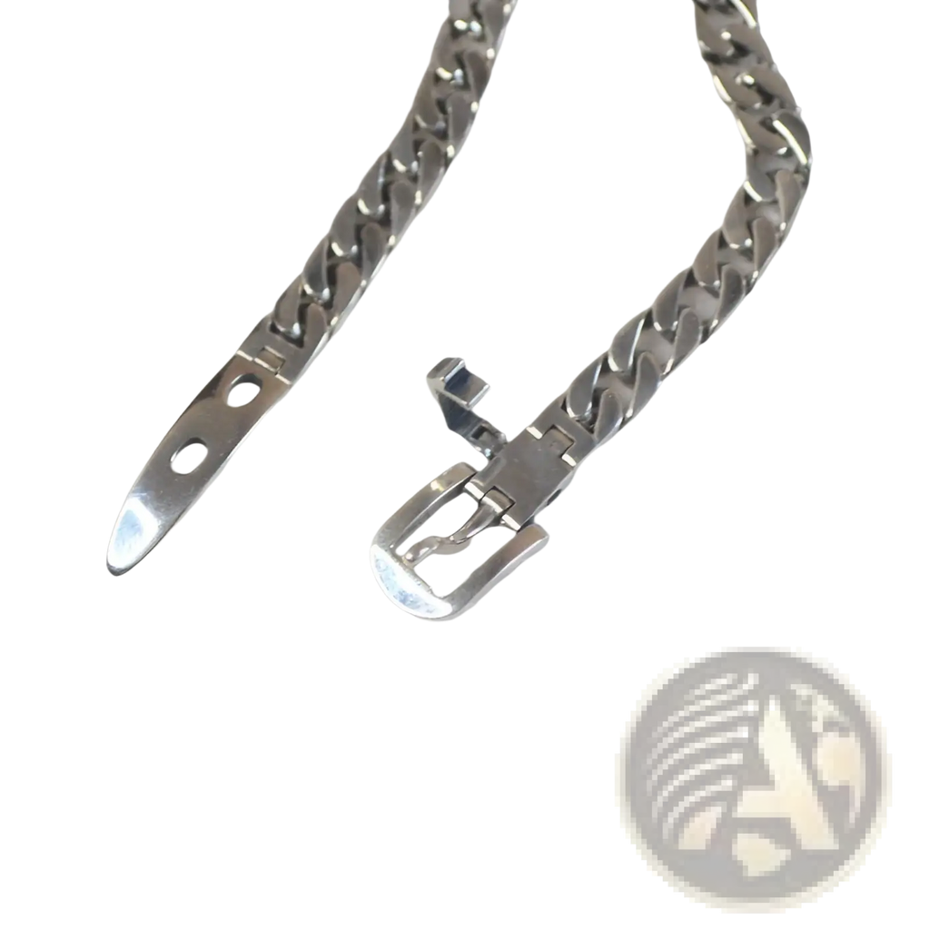 Women’s platinum plated stainless steel buckle chain bracelet with silver-toned curb links and polished finish