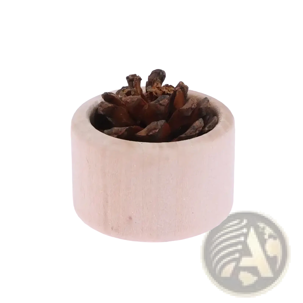 A rustic light-colored wooden cylindrical essential oil diffuser holds a dark brown pinecone for car air freshening