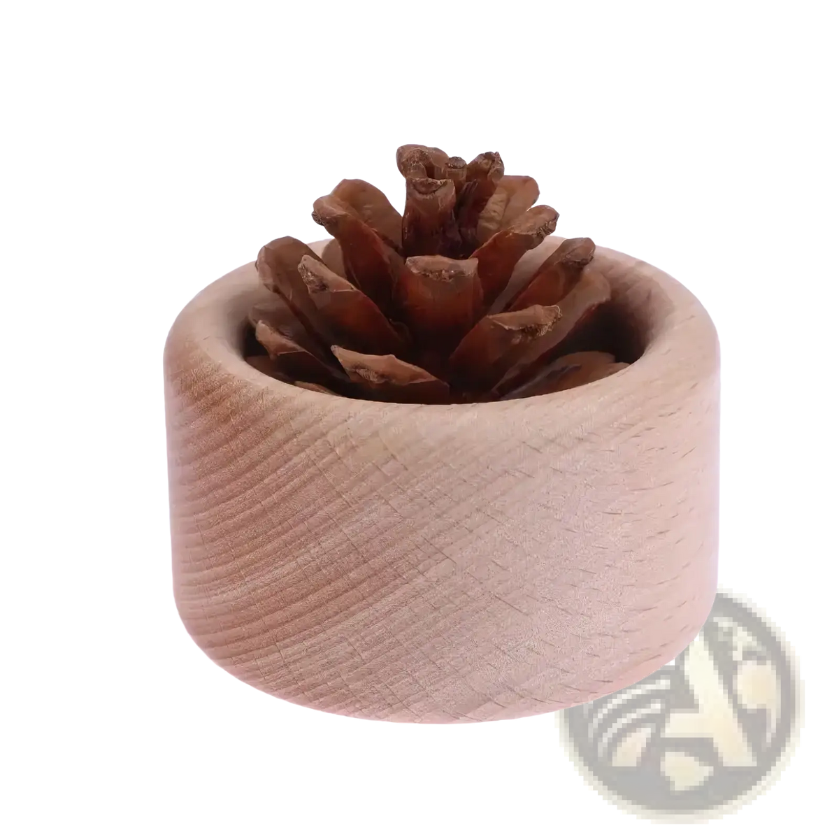 A natural brown pinecone inside a light wood grain cylindrical holder for wooden essential oil car diffuser