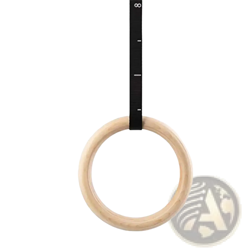 Light-colored wooden gymnastics rings with black straps for strength training and bodyweight exercises
