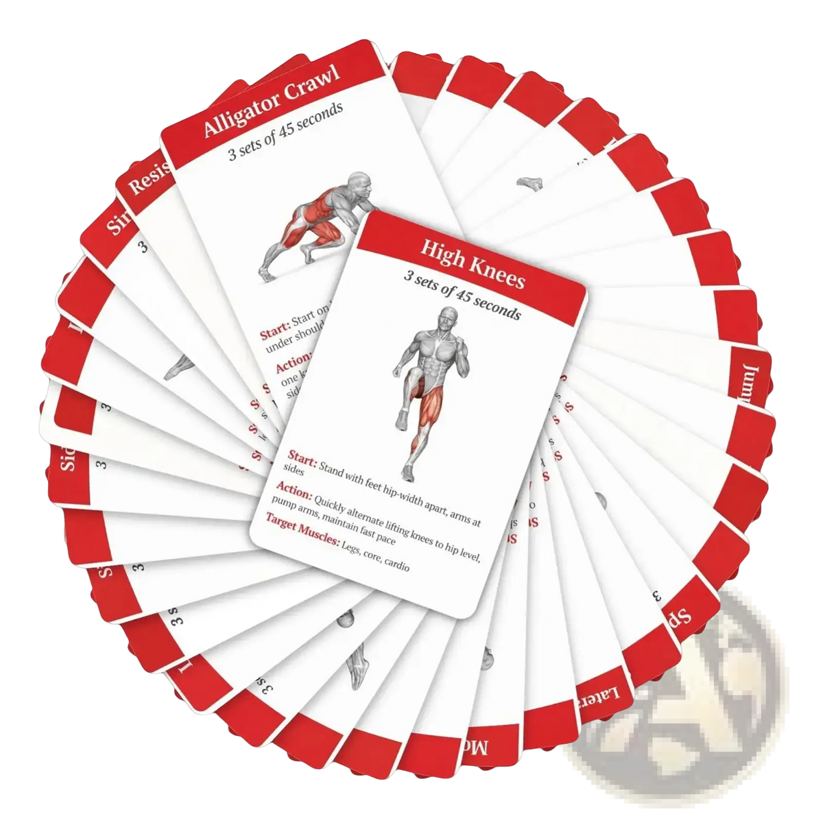 Red and white workout cards fitness exercise deck with anatomical illustrations for home and gym routines