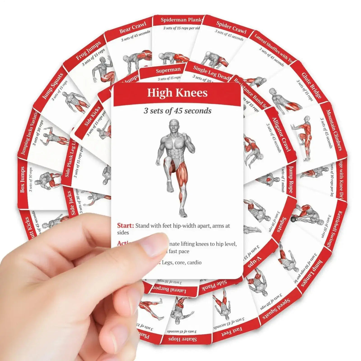 Red and white workout cards fitness exercise deck featuring human anatomy illustrations for home and gym use
