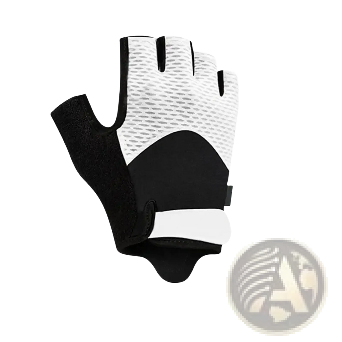 Workout gloves padded grip fitness gear showing black and white fingerless design with breathable mesh palm and reinforced backhand