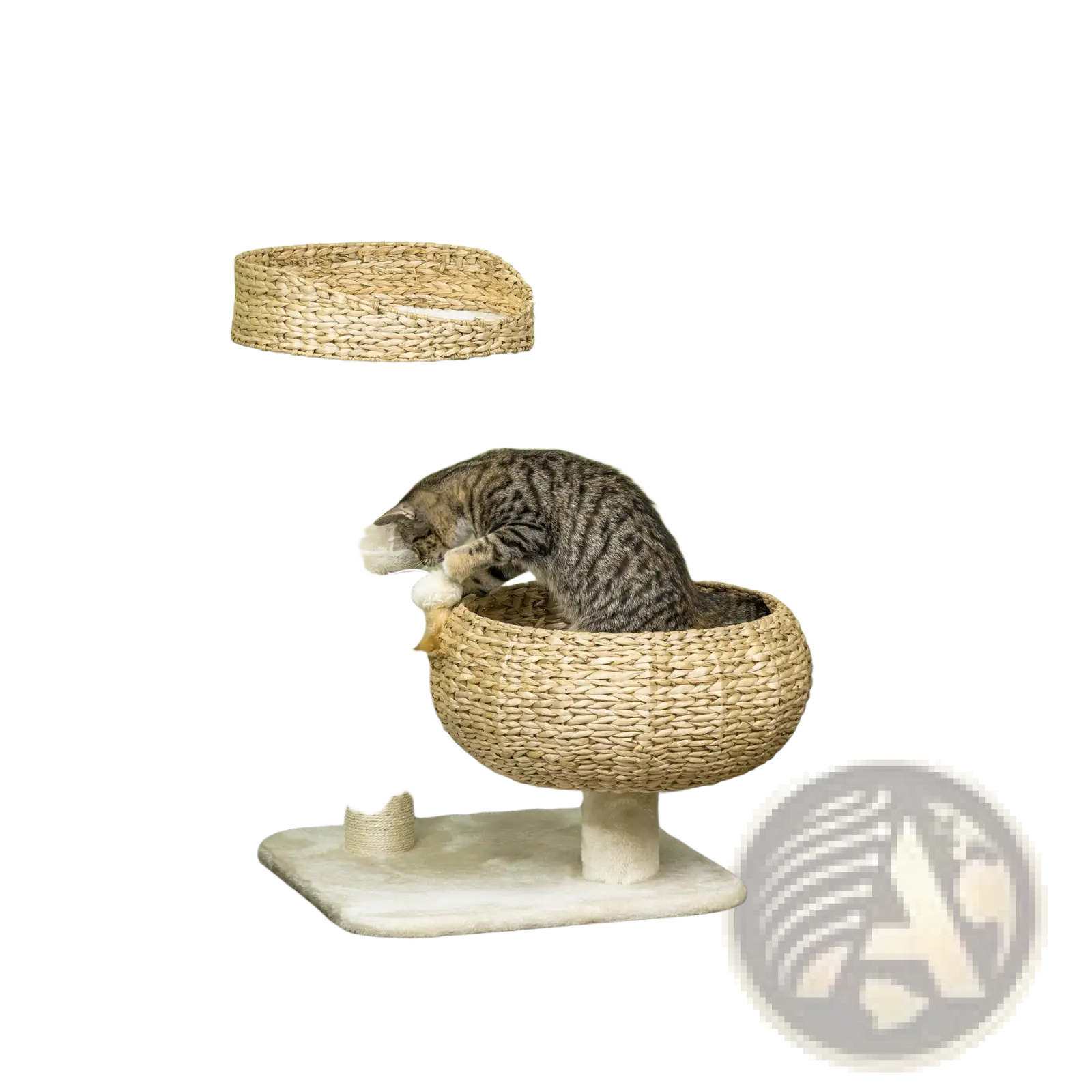 Natural woven wicker elevated cat bed with rounded top platform hammock-style base and sisal rope scratching posts