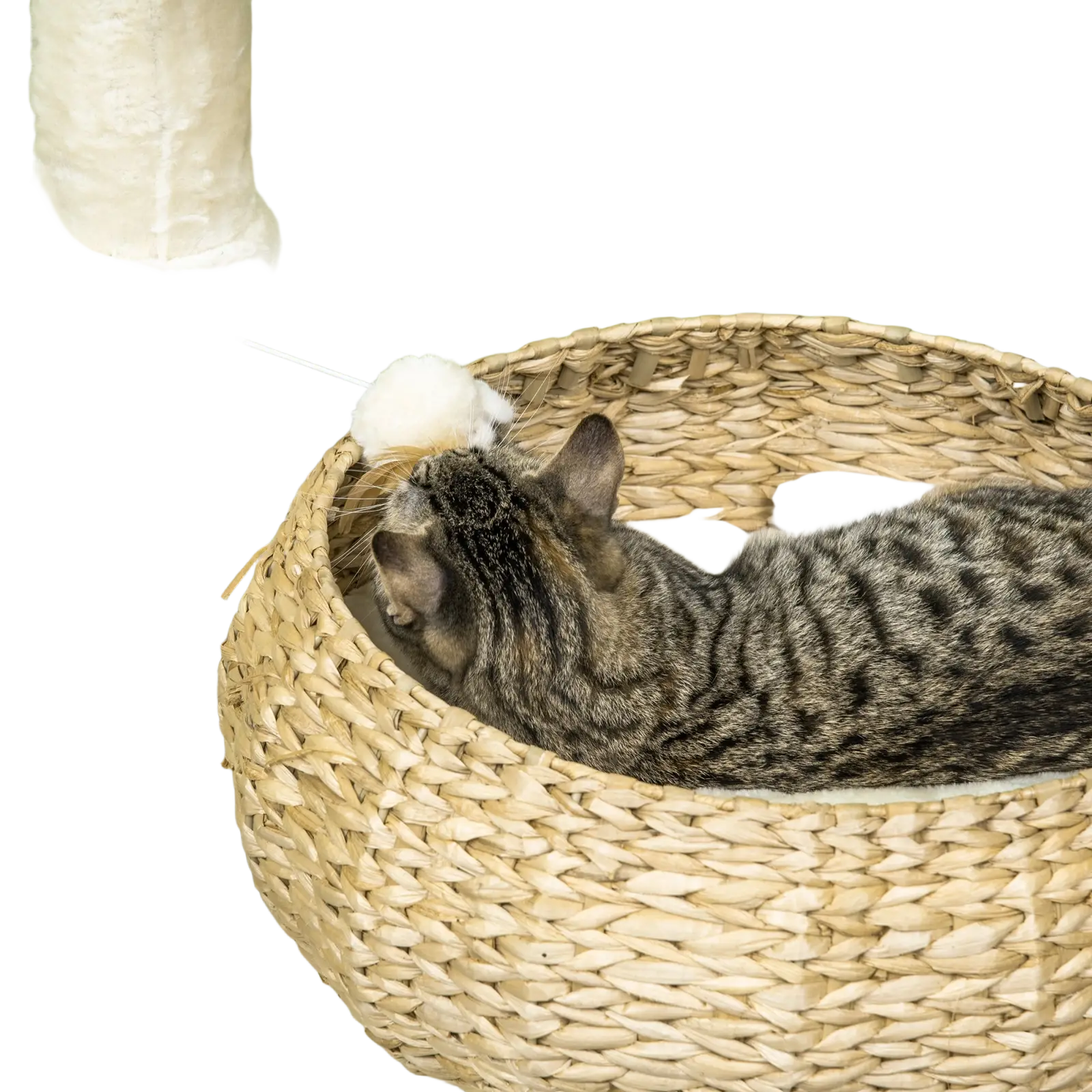 A tabby cat lounges in a beige woven wicker elevated cat bed with a matching scratching post